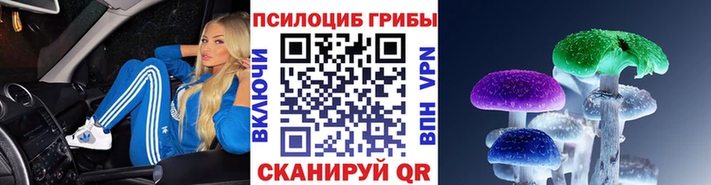 Галлюциногенные грибы Psilocybine cubensis  закладки  Бирюч 